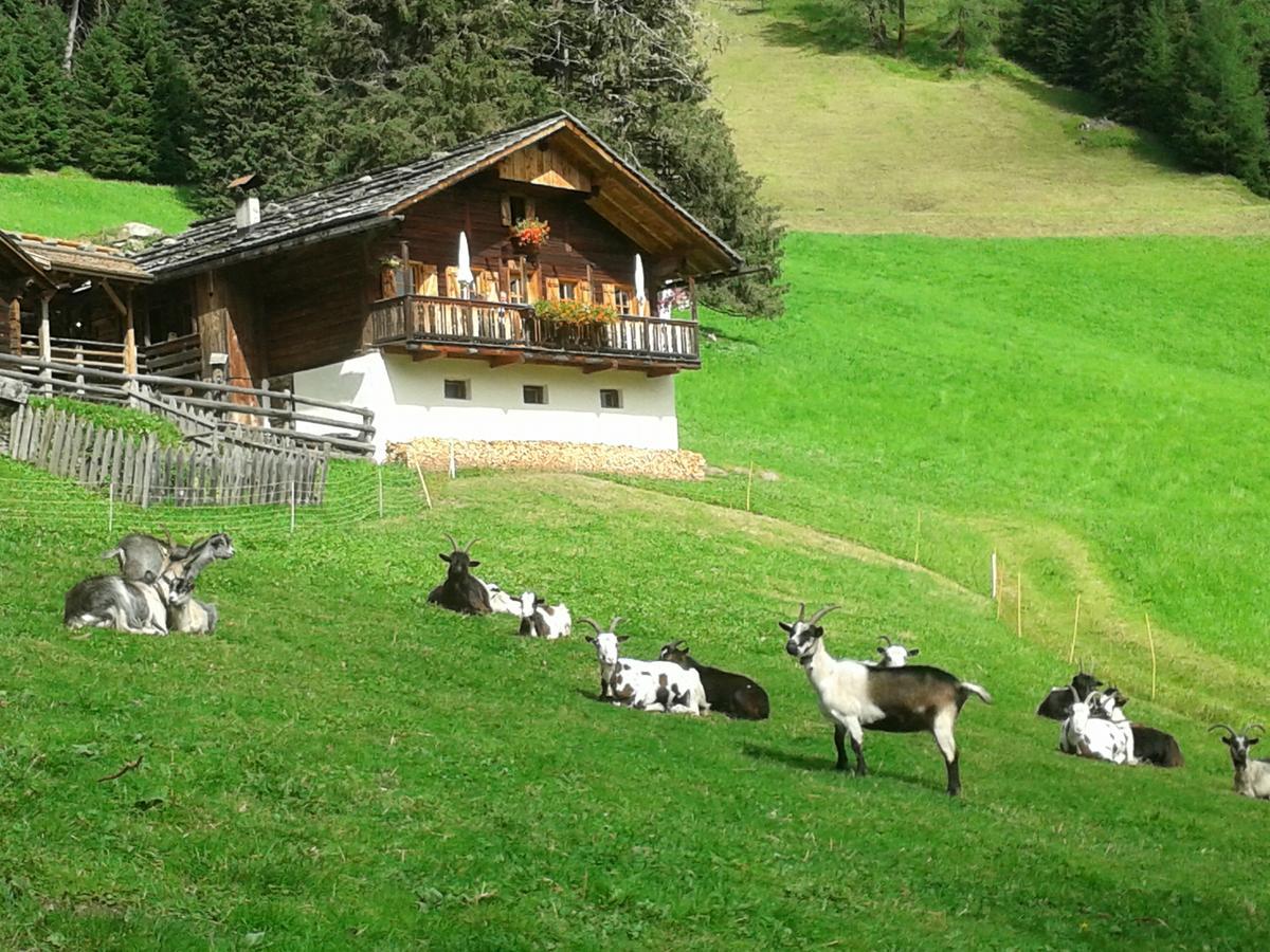 Hotel Poernbacher Olang Dış mekan fotoğraf
